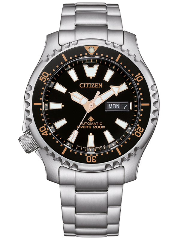 CITIZEN PROMASTER NY0160-66EECITIZEN PROMASTER NY0160-66EE
