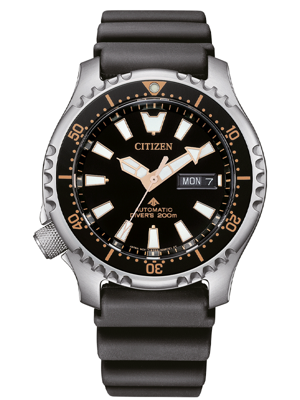 CITIZEN PROMASTER NY0160-66EE