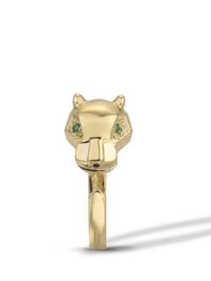 PRINTEZIS DAXTYLIDI K14 CGD14GO/15